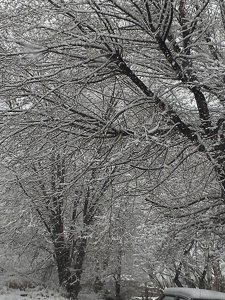 File:Winter.jpg