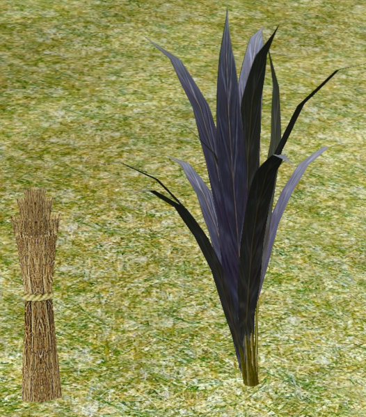 File:Sugar Cane.png