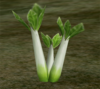 Leeks.png