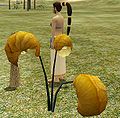 Thumbnail for version as of 17:06, 24 September 2015