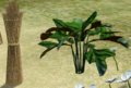 Verdant Squill2.png