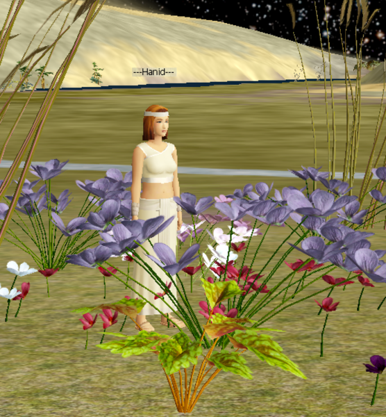 File:Hanid.png
