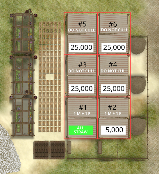 File:New-camels.png