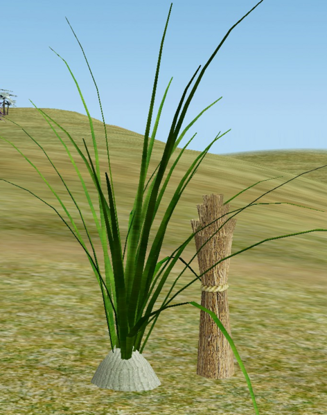 File:Wild Onion.png