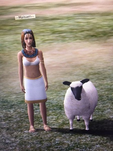 File:Mali-and-sheep.jpg