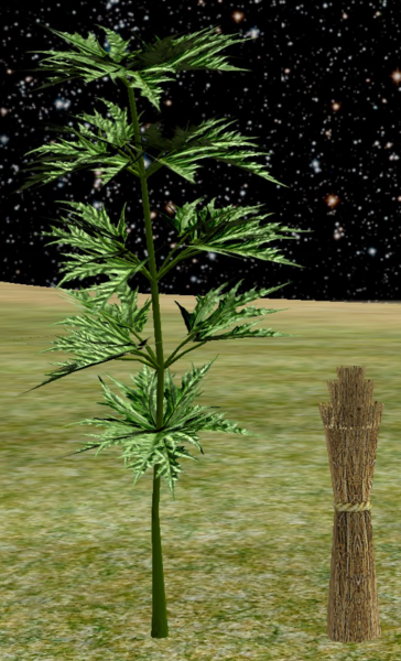 File:Hogweed.png