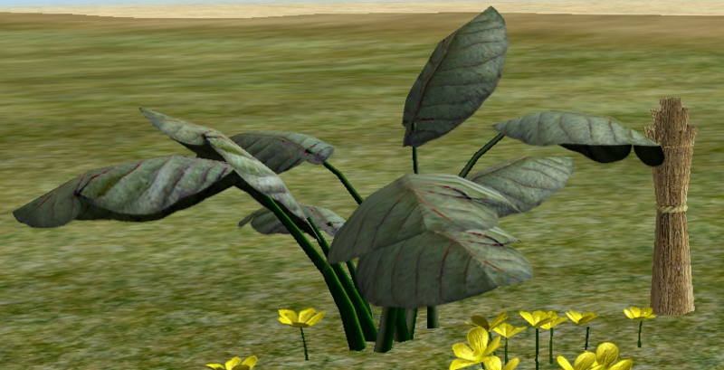 File:Dameshood.png