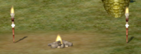 CampfireTorch.png