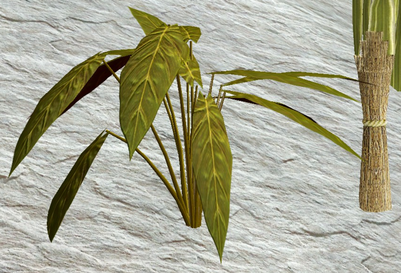 File:Cardamom.png