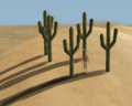 ATITD-tehm in the Cactii-crop.png