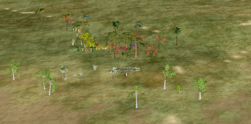 File:Forest.png