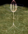 Thumbnail for version as of 13:42, 27 February 2016