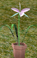 Thumbnail for version as of 16:59, 27 January 2017